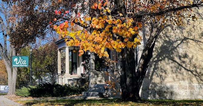 Homeopathic Medicine, Natural Health Practitioner