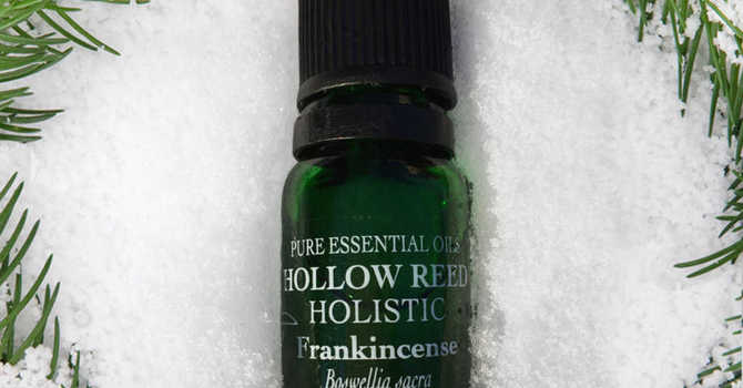 The Healing Properties of Frankincense image
