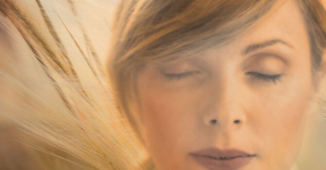 The Medicine of Mindfulness image